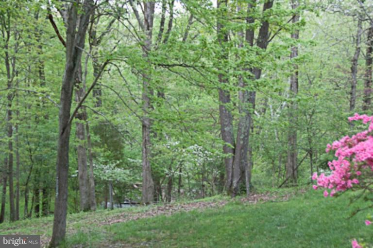 13513 Esworthy Road Darnestown, MD 20874 - Photo 8 of 30 View of the Stream in the Backyard