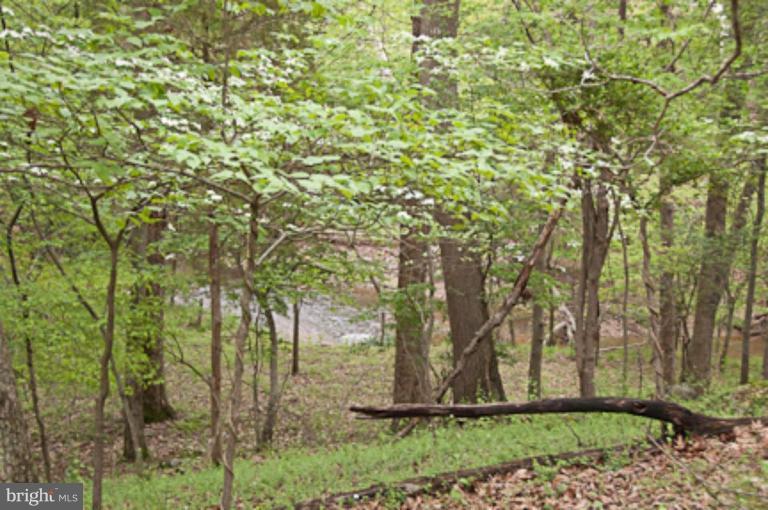 13513 Esworthy Road Darnestown, MD 20874 - Photo 9 of 30 A wonderful stream in the backyard