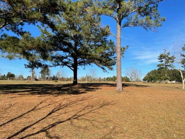 2088 Forrester Road Dothan, AL 36301 - Photo 7 of 15