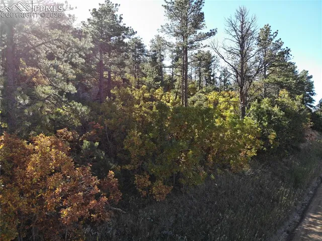 $99,500 | Oakdale Terrace, Palmer Lake, CO 80133