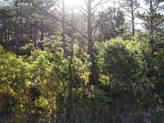 $99,500 | Oakdale Terrace, Palmer Lake, CO 80133