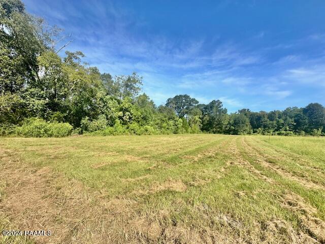 Tbd Acadiana Road Opelousas, LA 70570 - Photo 1 of 5 Gallery Image 1