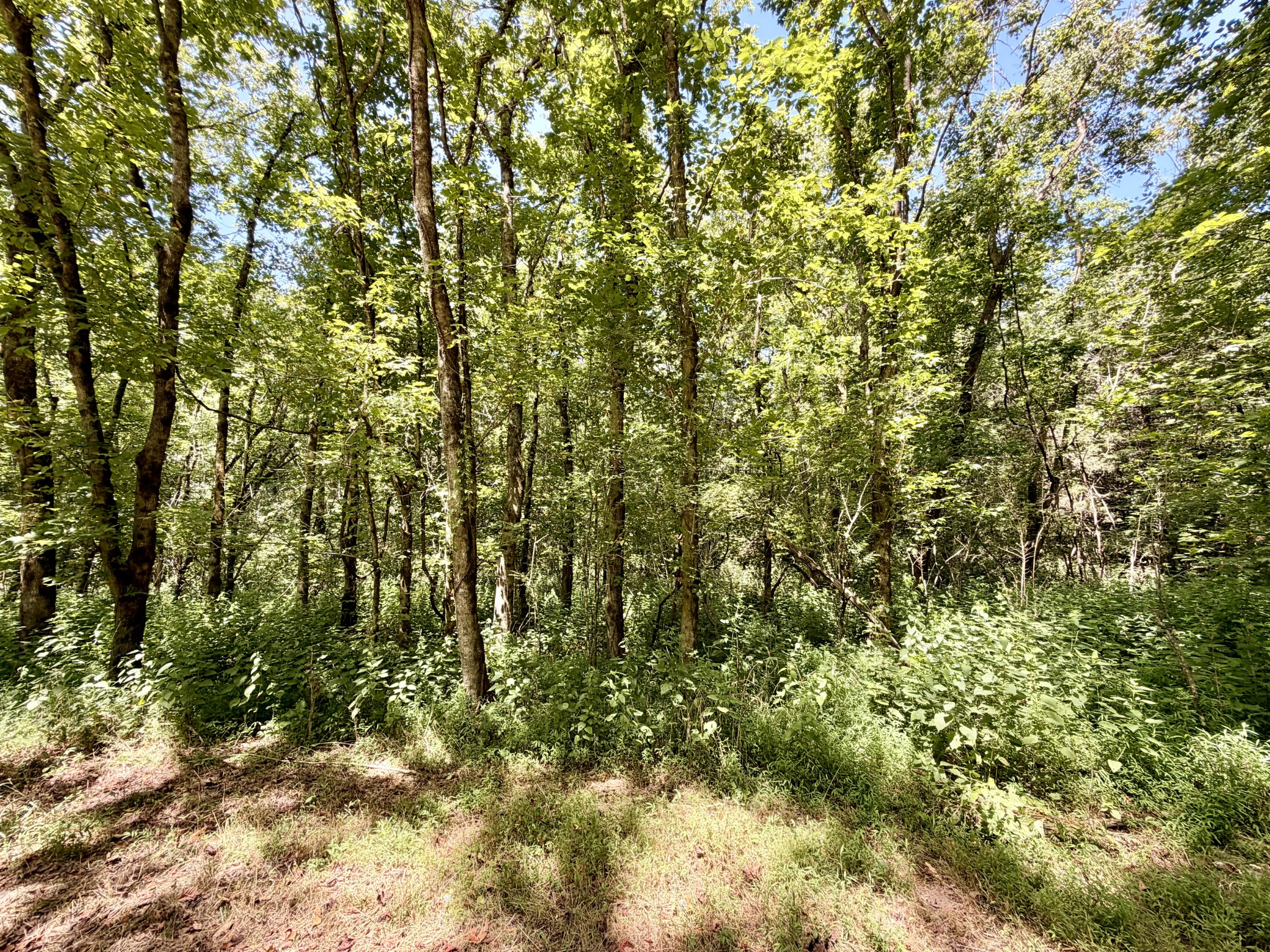 877 Hanna Branch Road Prospect, TN 38477 - Photo 12 of 49 Gallery Image 12