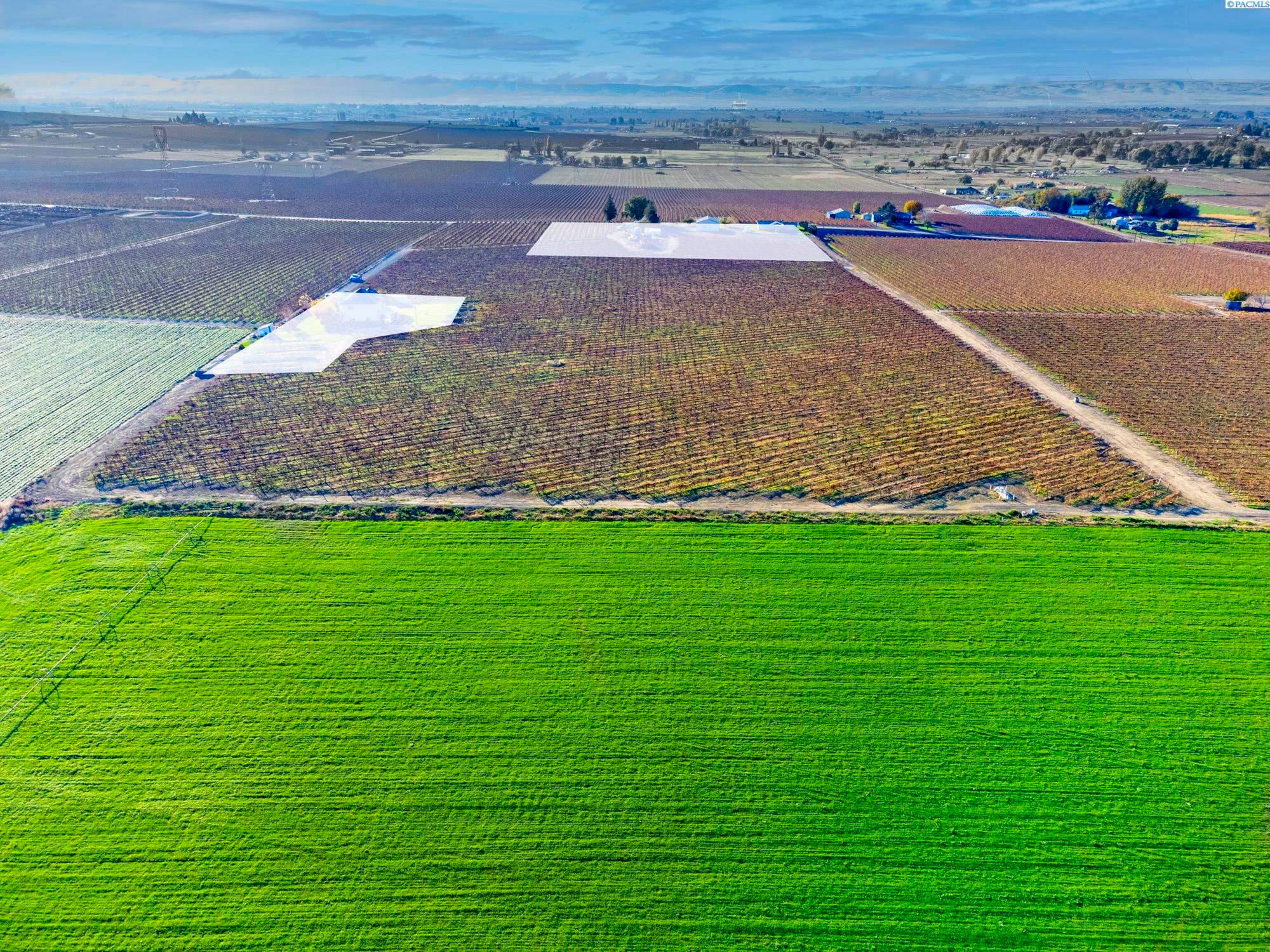 Tbd East Allen Road Sunnyside, WA 98944 - Photo 3 of 7 Gallery Image 3