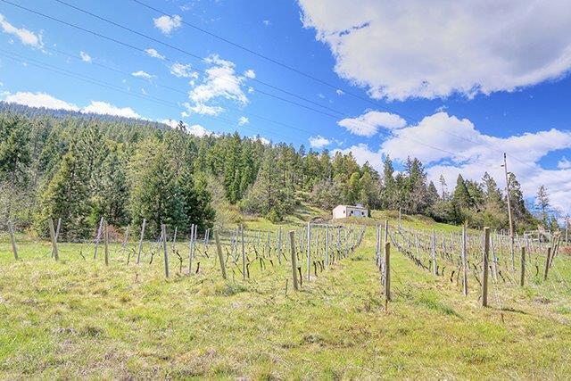652 Gold Canyon Road Selma, OR 97538 - Photo 1 of 16 Primary Photo