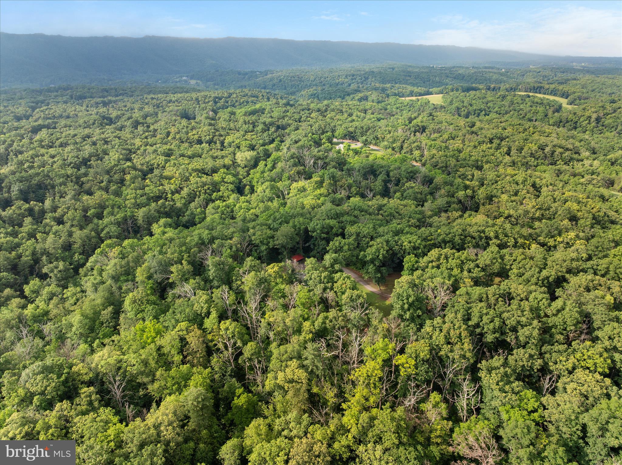 1488 Millner Road Strasburg, VA 22657 - Photo 40 of 44 Aerial view