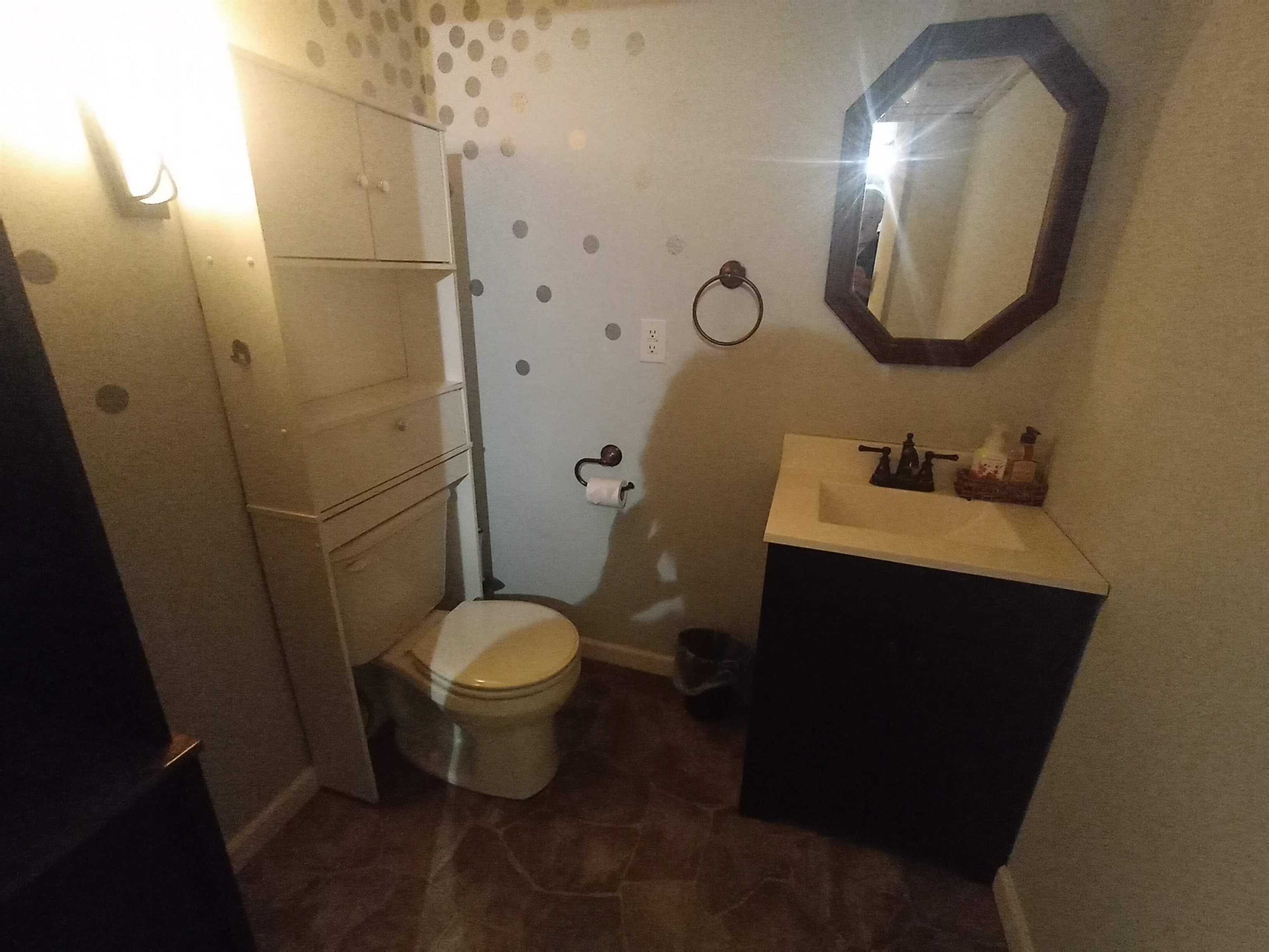 5242 Brookview Road Rockford, IL 61107 - Photo 34 of 44 a bathroom with a toilet sink and mirror