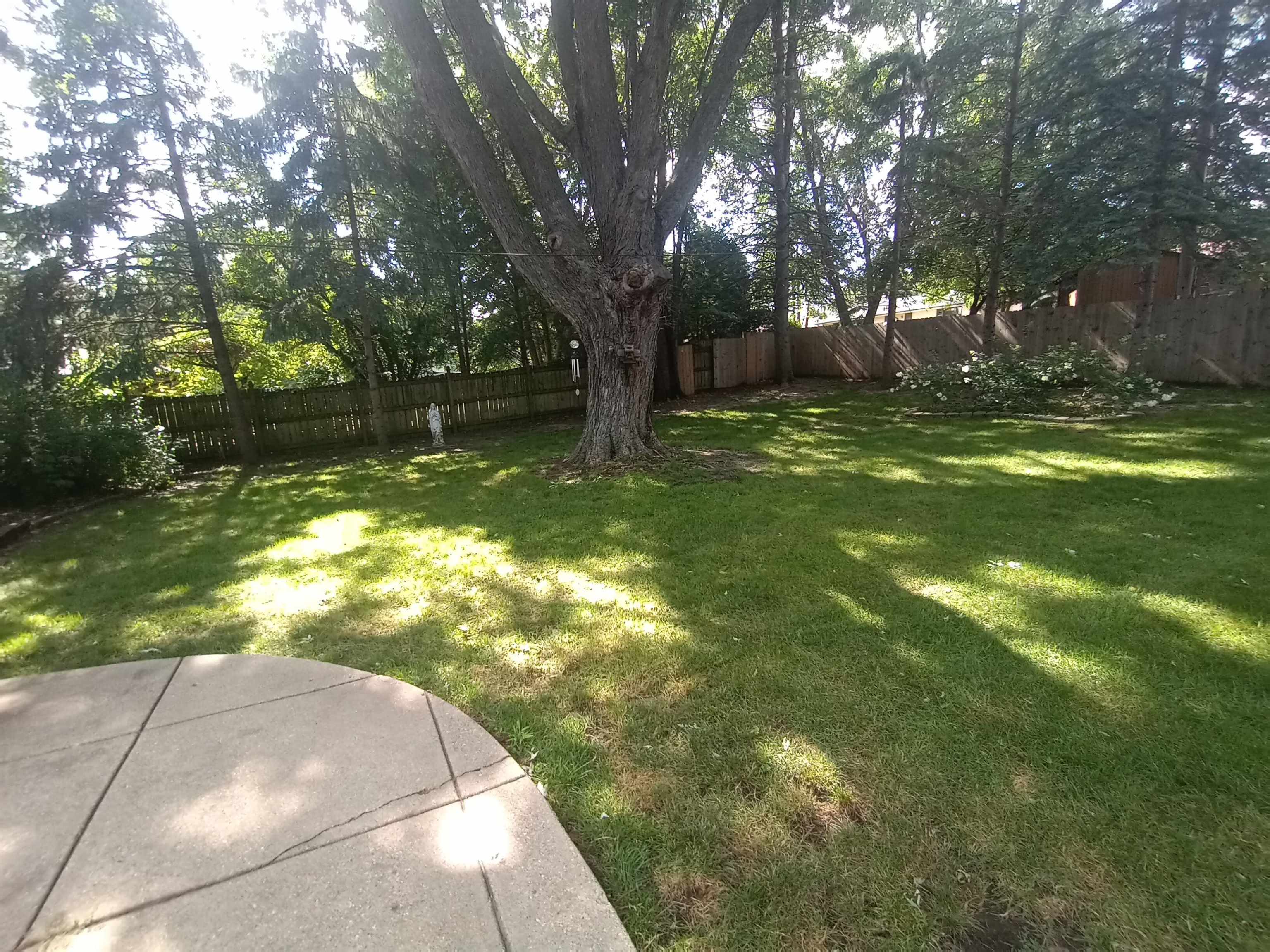 5242 Brookview Road Rockford, IL 61107 - Photo 43 of 44 a view of a tree in a yard