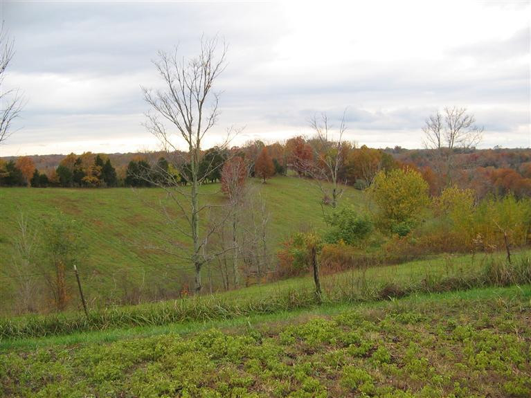 1210 Ashby Road Lawrenceburg, KY 40342 - Photo 7 of 17 Photo 7