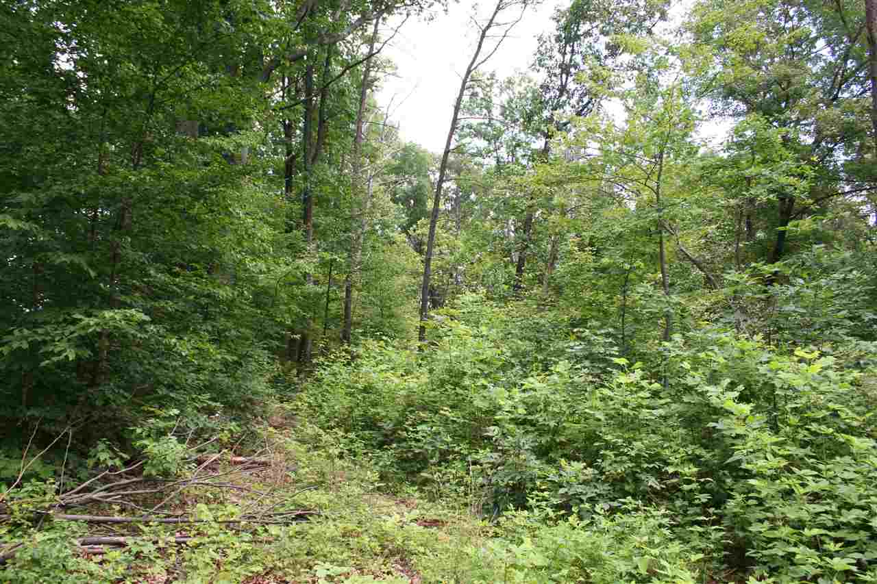 South F T Valley Road Sperryville, VA 22740 - Photo 1 of 7 Interior of lot on ridge