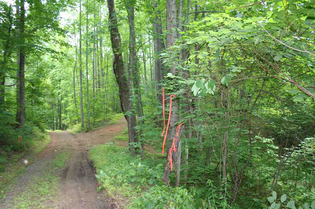 South F T Valley Road Sperryville, VA 22740 - Photo 5 of 7 Boundary marker at north end of lot