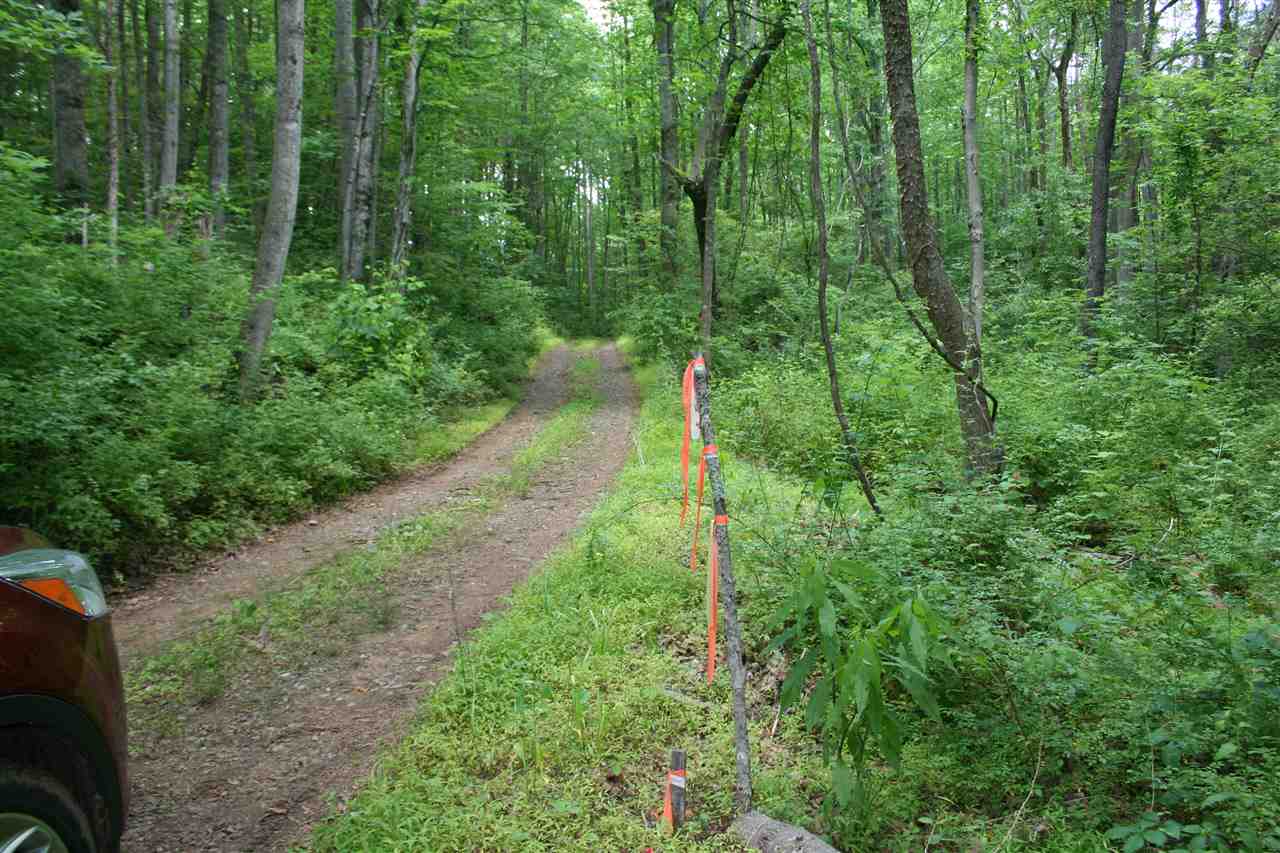 South F T Valley Road Sperryville, VA 22740 - Photo 6 of 7 Boundary marker at south end of lot