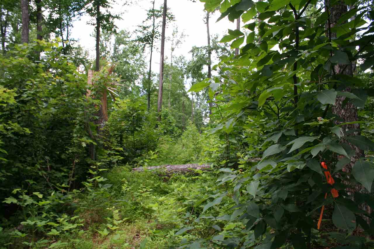 South F T Valley Road Sperryville, VA 22740 - Photo 7 of 7 Interior of lot