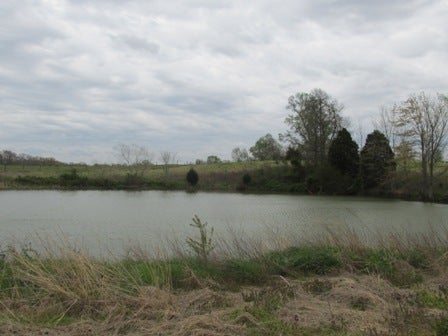 Fairview Church Road Smiths Grove, KY 42171 - Photo 27 of 34 Gallery Image 27