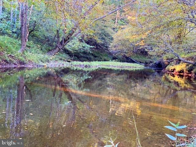 0 Lewistown Road Locust Grove, VA 22508 - Photo 1 of 5 Frontage along Mine Run