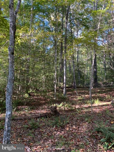 0 Lewistown Road Locust Grove, VA 22508 - Photo 3 of 5 Gallery Image 3