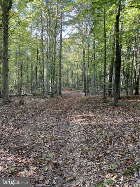 0 Lewistown Road Locust Grove, VA 22508 - Photo 4 of 5 Gallery Image 4