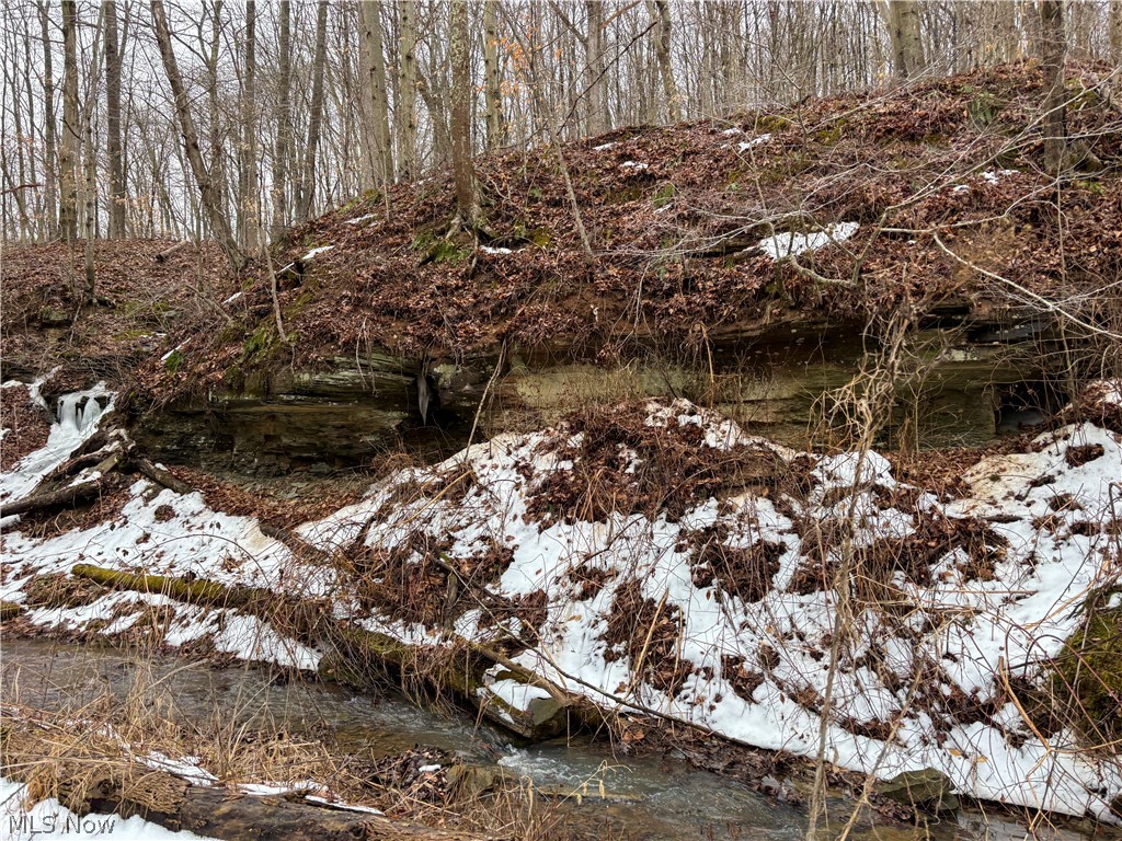 0 Tract 4 Twp Road Woodsfield, OH 43793 - Photo 21 of 34