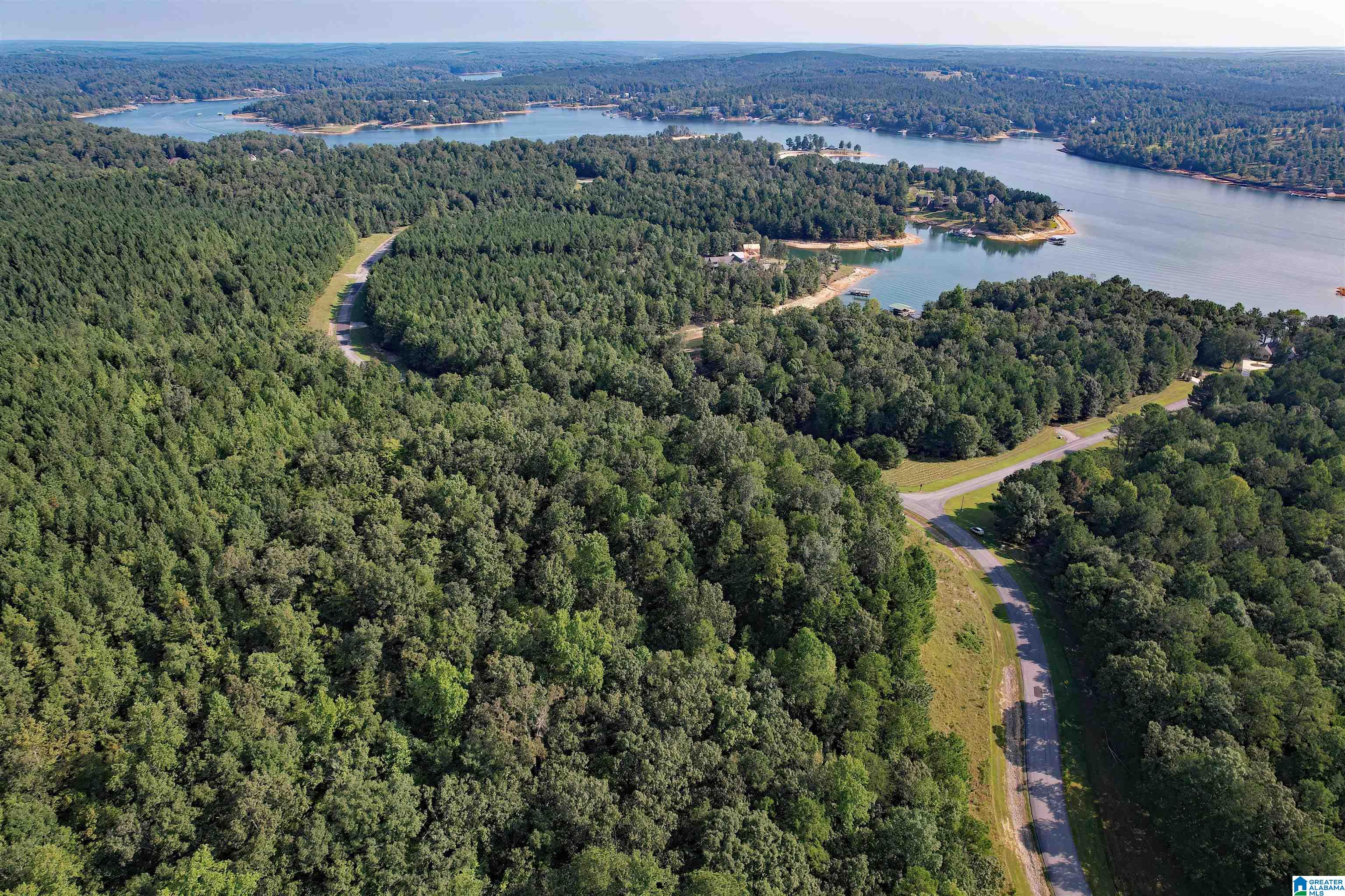 221 Stoney Point Road South, Unit 221/122 Double Springs, AL 35553 - Photo 8 of 25