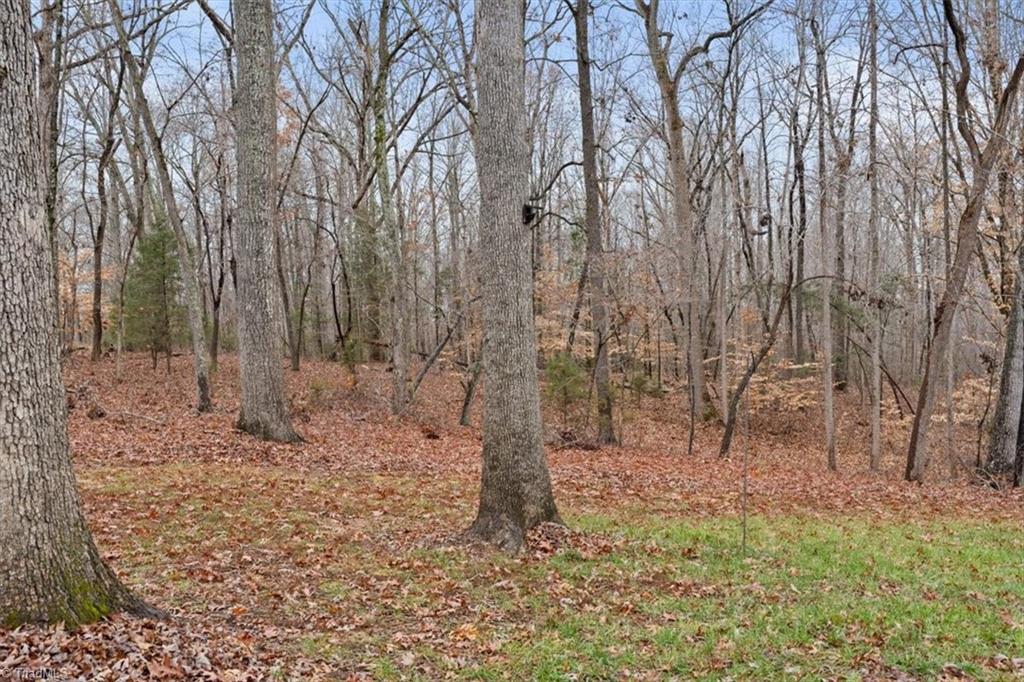 3885 Hoover Hill Road Trinity, NC 27370 - Photo 49 of 50