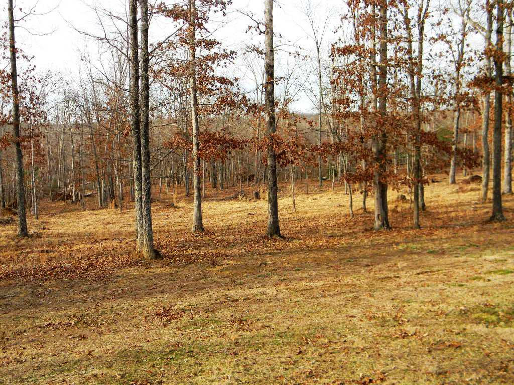 386 Rogers Road Crossville, TN 38571 - Photo 27 of 39 51a