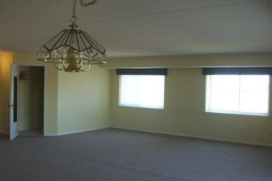1133 7th Street, Unit 505N Rochelle, IL 61068 - Photo 3 of 8 a decorative lighting & window in a room