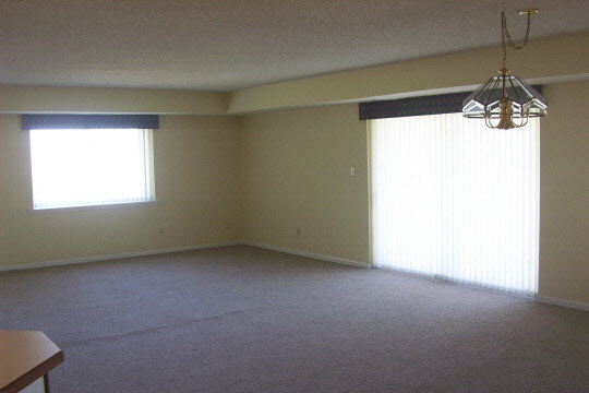 1133 7th Street, Unit 505N Rochelle, IL 61068 - Photo 4 of 8 a view of an empty room with a window