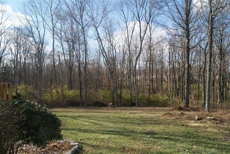 131 Tando Way Covington, KY 41017 - Photo 2 of 9 Gallery Image 2