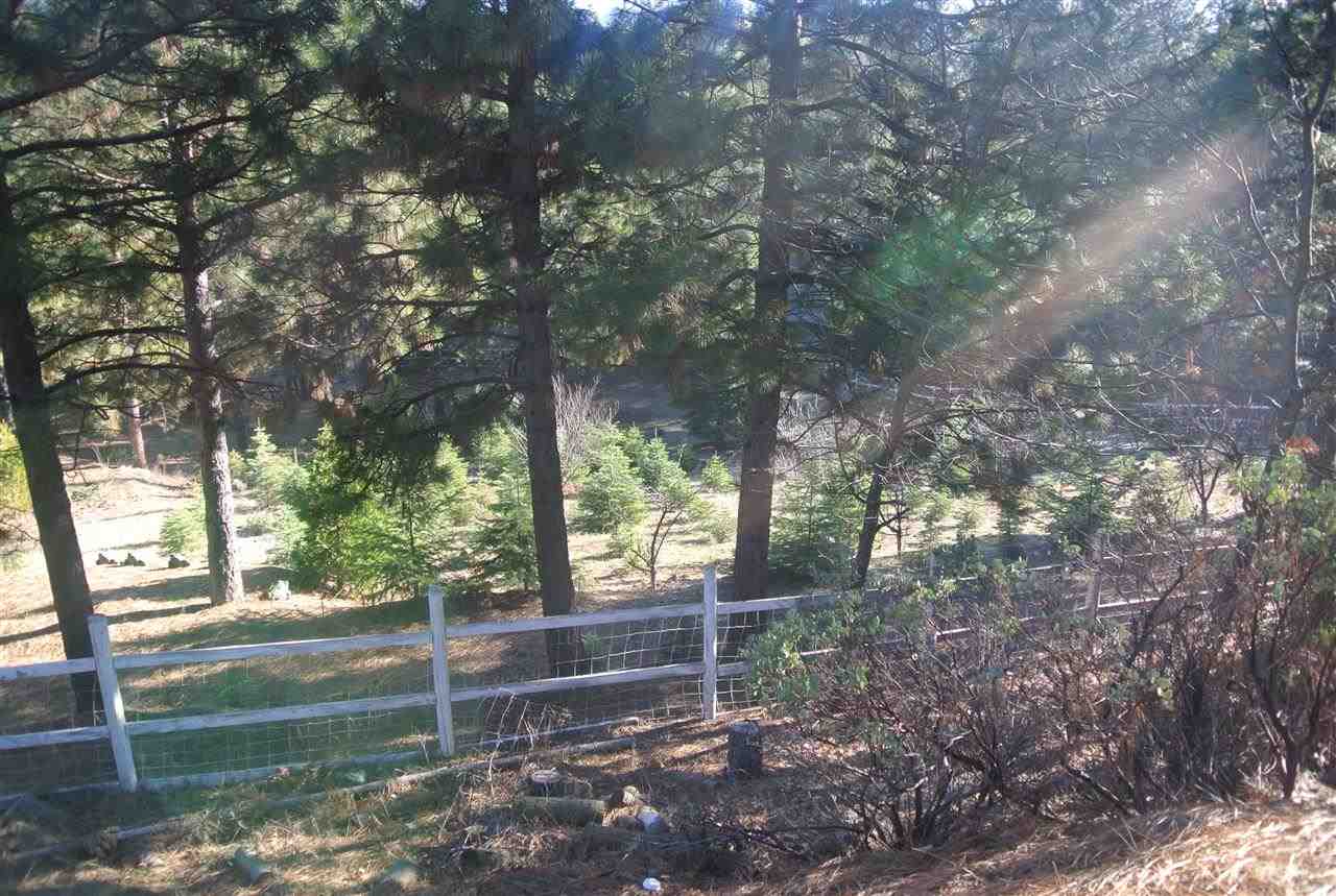 2971 Ridgerun Road Quincy, CA 95971 - Photo 19 of 20 Gallery Image 19