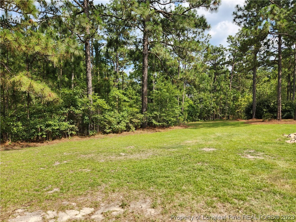 2730 Chimney Point Linden, NC 28356 - Photo 27 of 30 a view of yard with swimming pool and green space