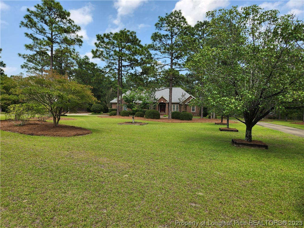 2730 Chimney Point Linden, NC 28356 - Photo 28 of 30 a view of a tree in a park