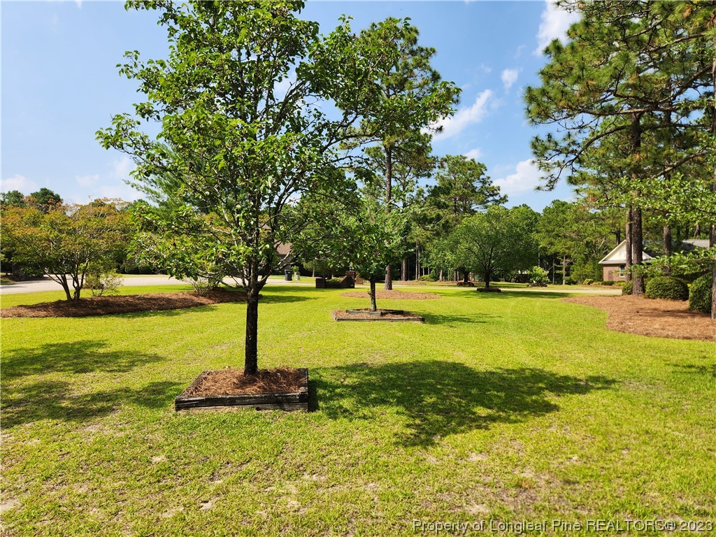 2730 Chimney Point Linden, NC 28356 - Photo 29 of 30 a view of a swimming pool with an outdoor space and seating area
