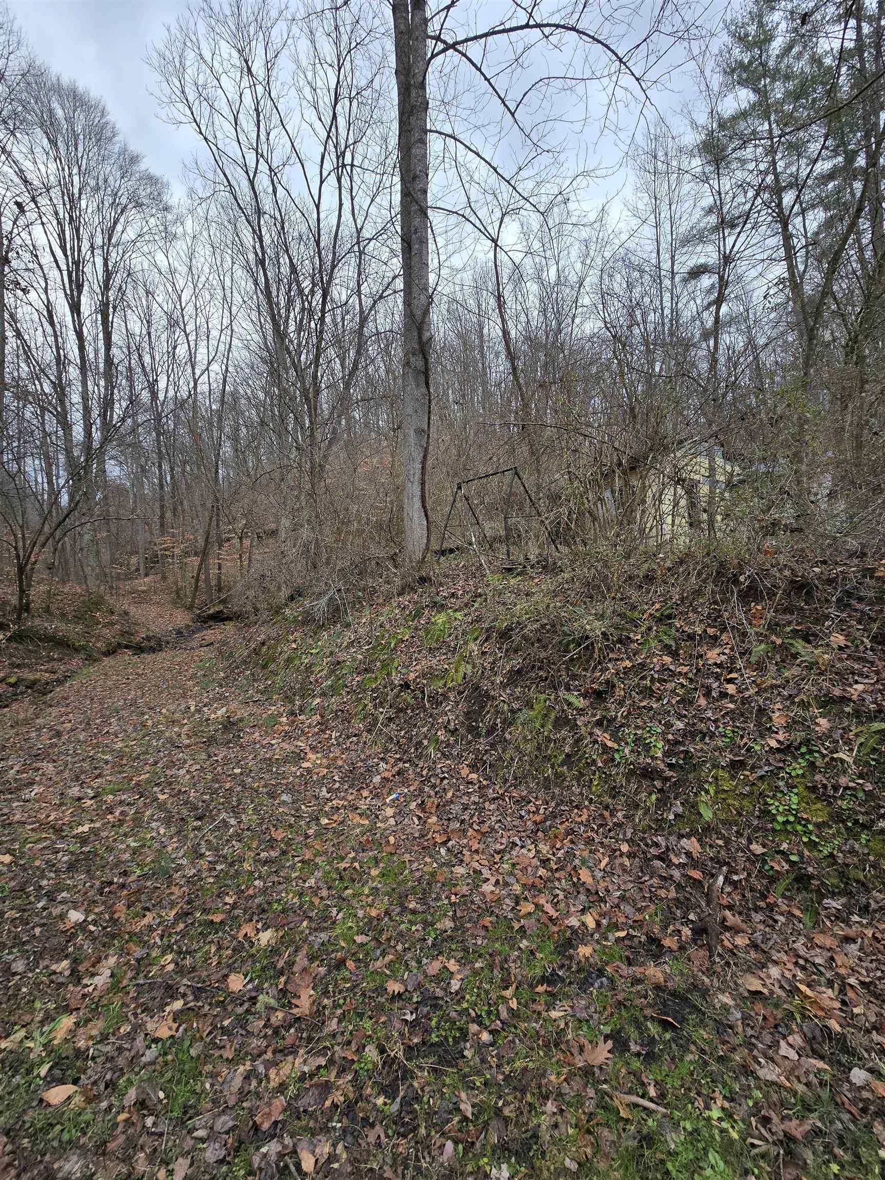 159 Apple Hollow Road Louisa, KY 41230 - Photo 2 of 4