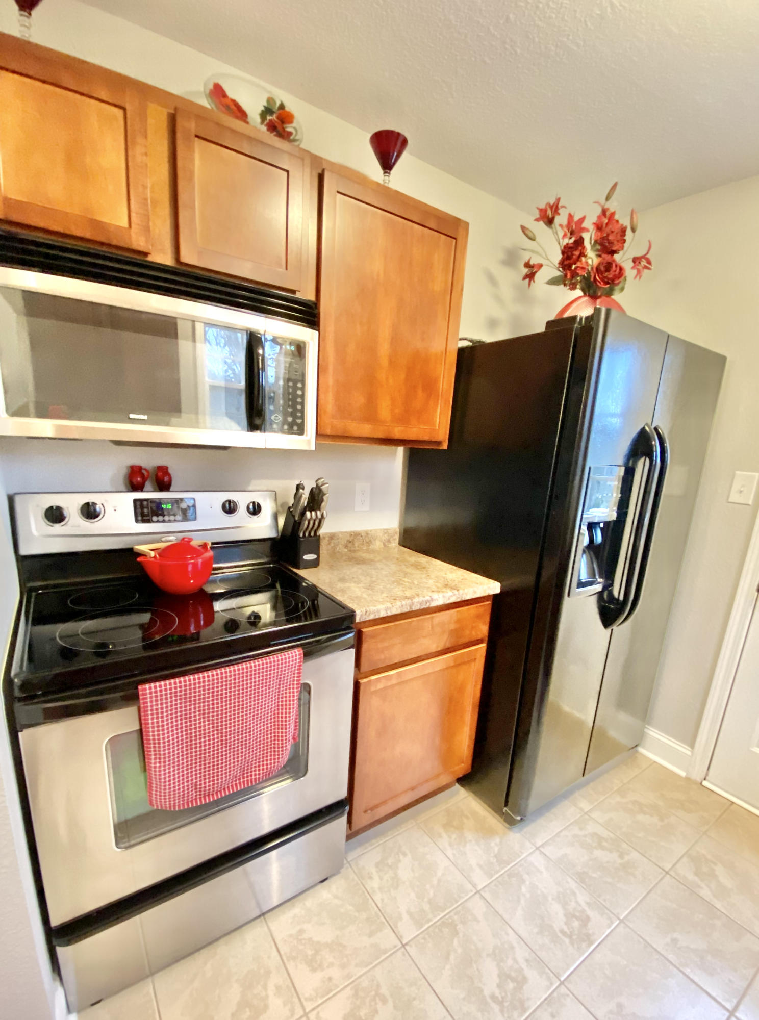 3054 George Light Road Knoxville, TN 37931 - Photo 14 of 36 Stainless Appliances - Fridge Conveys