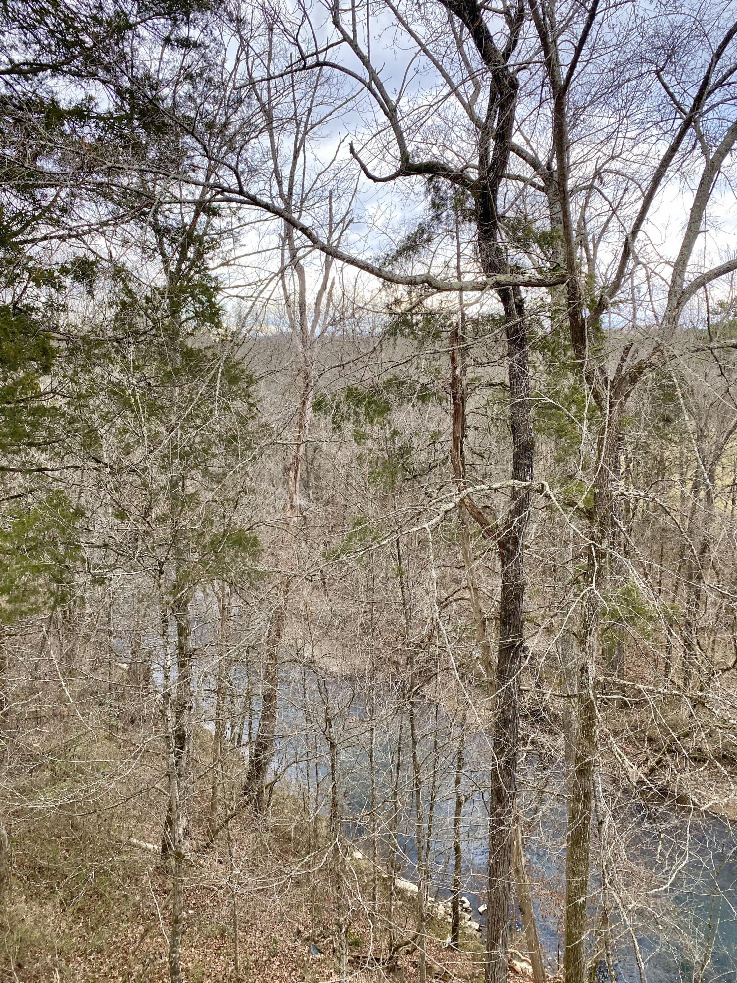3054 George Light Road Knoxville, TN 37931 - Photo 18 of 36 View to the East