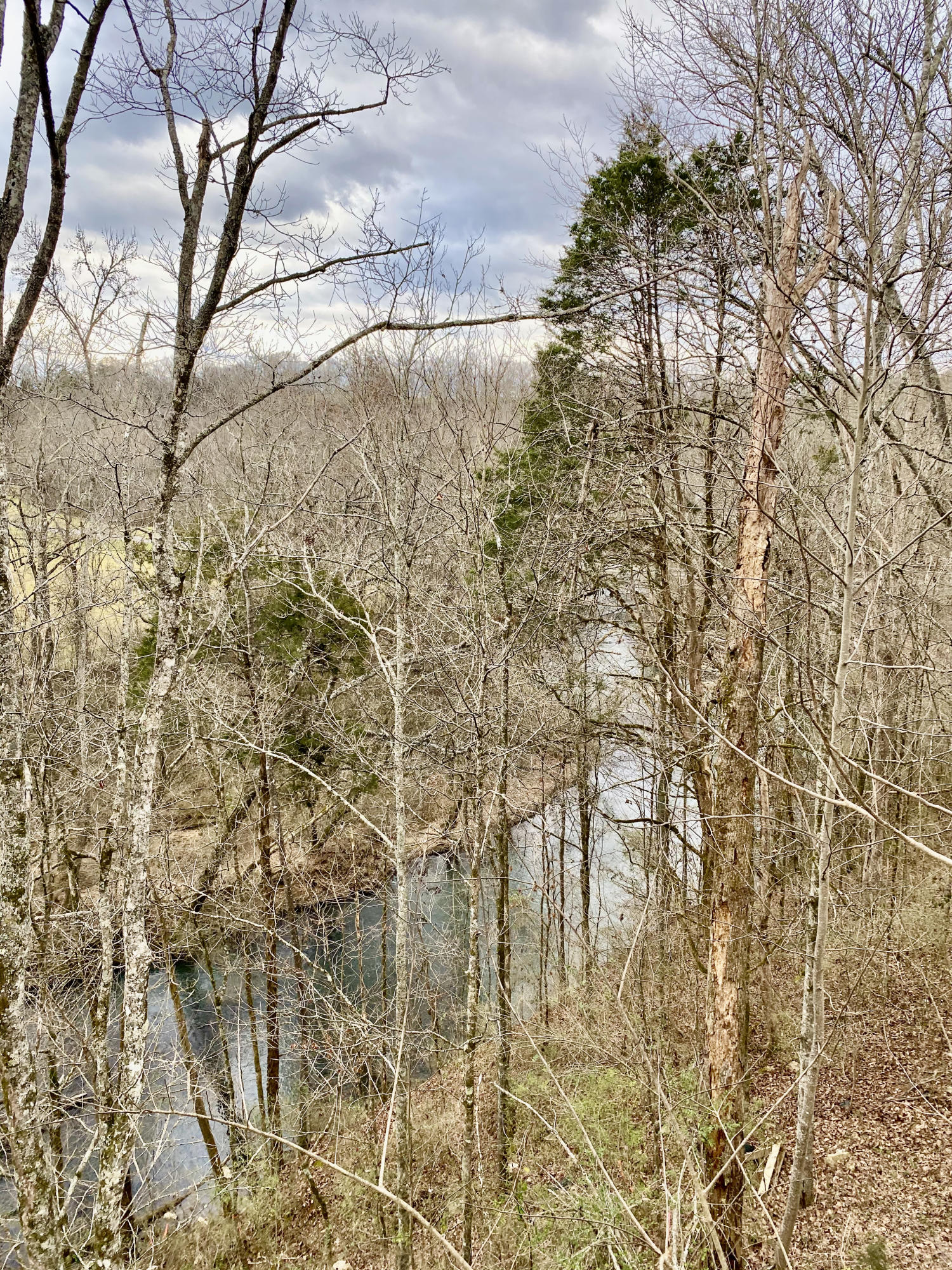 3054 George Light Road Knoxville, TN 37931 - Photo 4 of 36 Beautiful Beaver Creek View