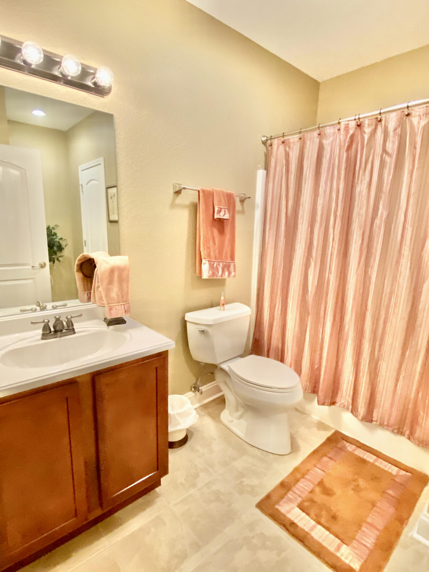 3054 George Light Road Knoxville, TN 37931 - Photo 31 of 36 Full Bath in the Basement