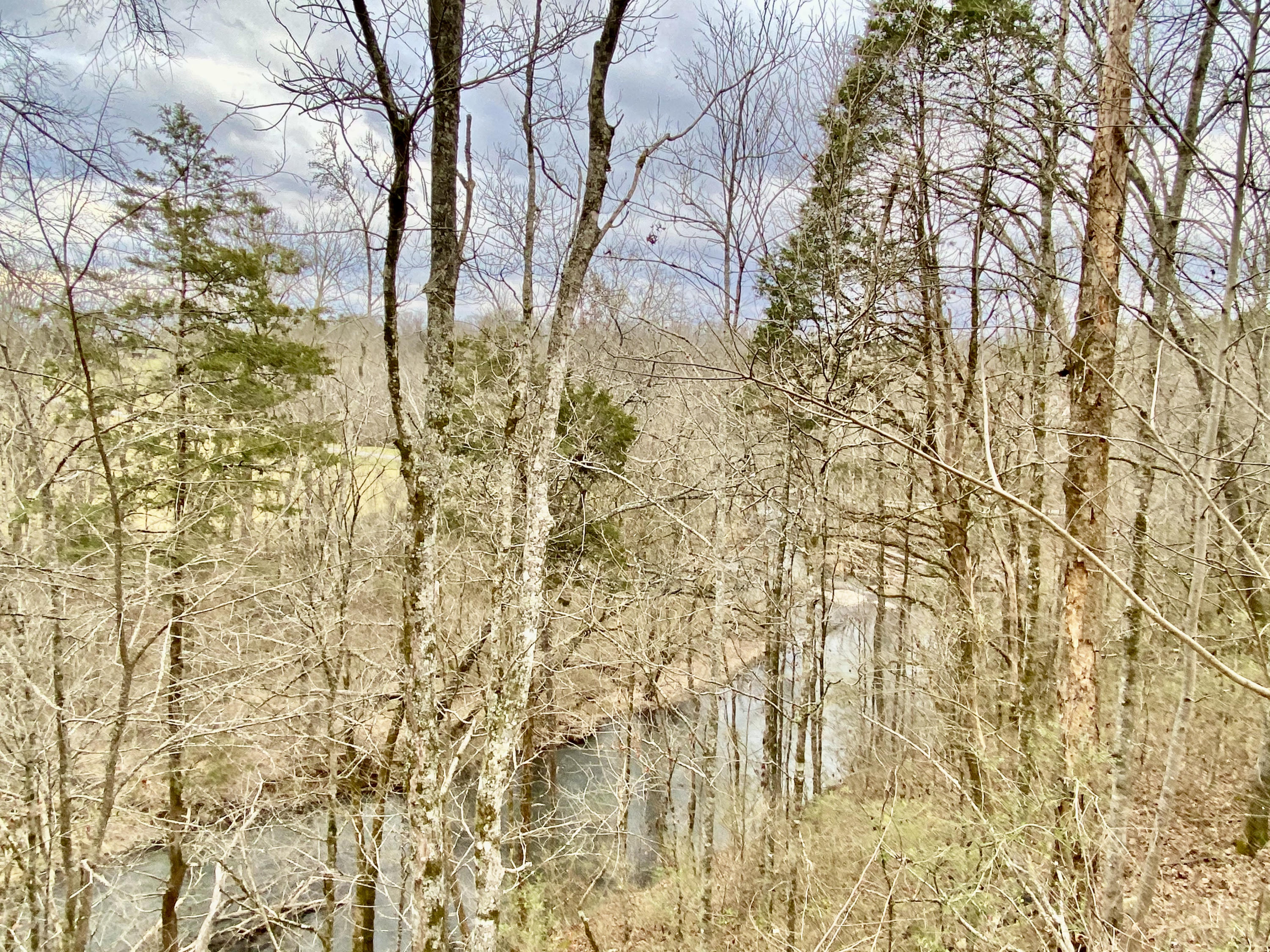 3054 George Light Road Knoxville, TN 37931 - Photo 35 of 36 Another Beaver Creek View to the South