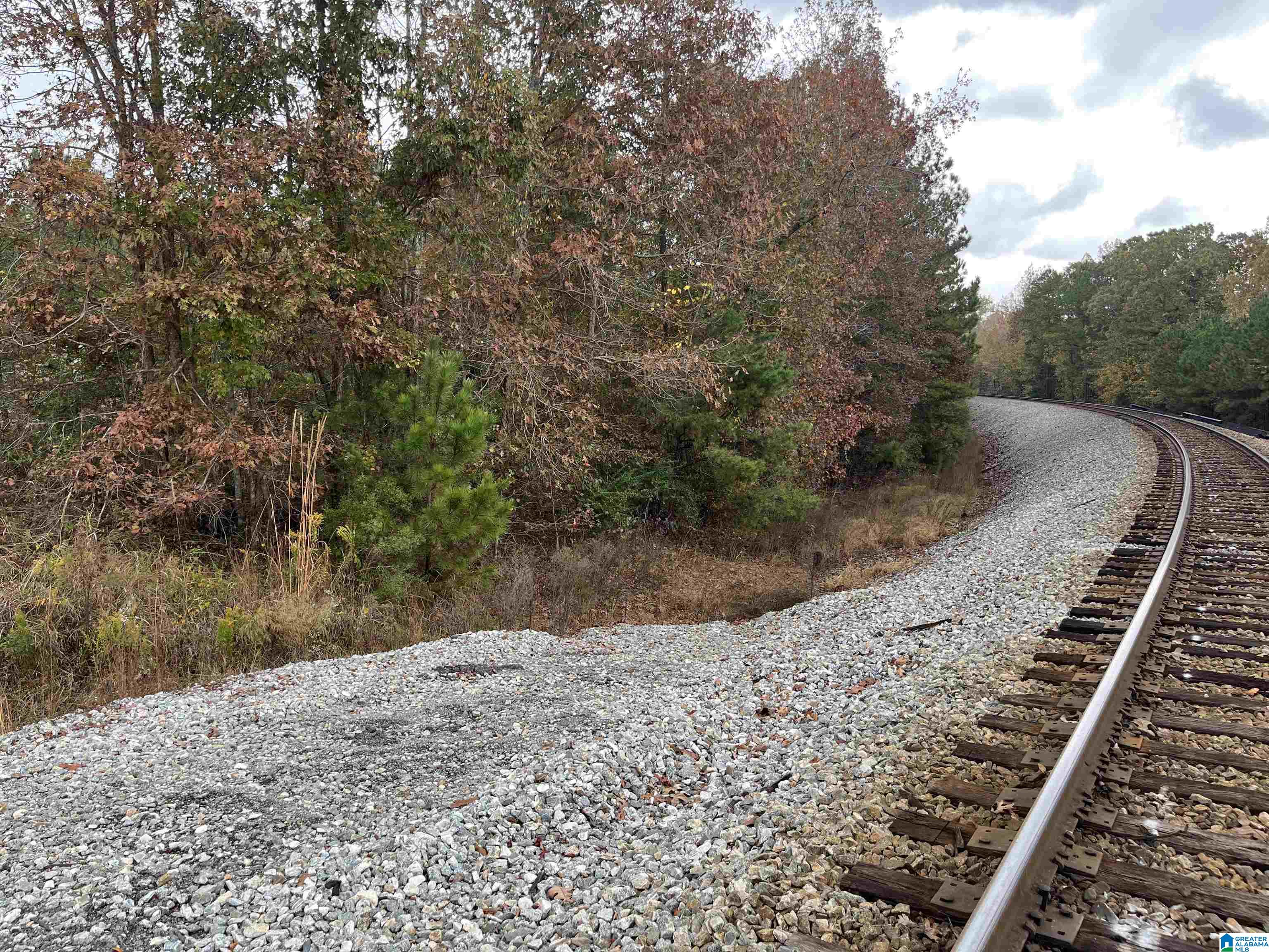 83-acres Byler Road, Unit 83 ACRES Haleyville, AL 35565 - Photo 6 of 19