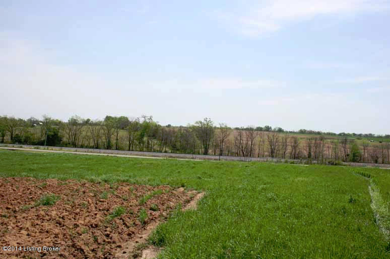 2900 Cropper Road Shelbyville, KY 40065 - Photo 10 of 10 View toward Road