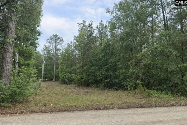 $50,000 | 500 Bowman Avenue, Elgin, SC 29045