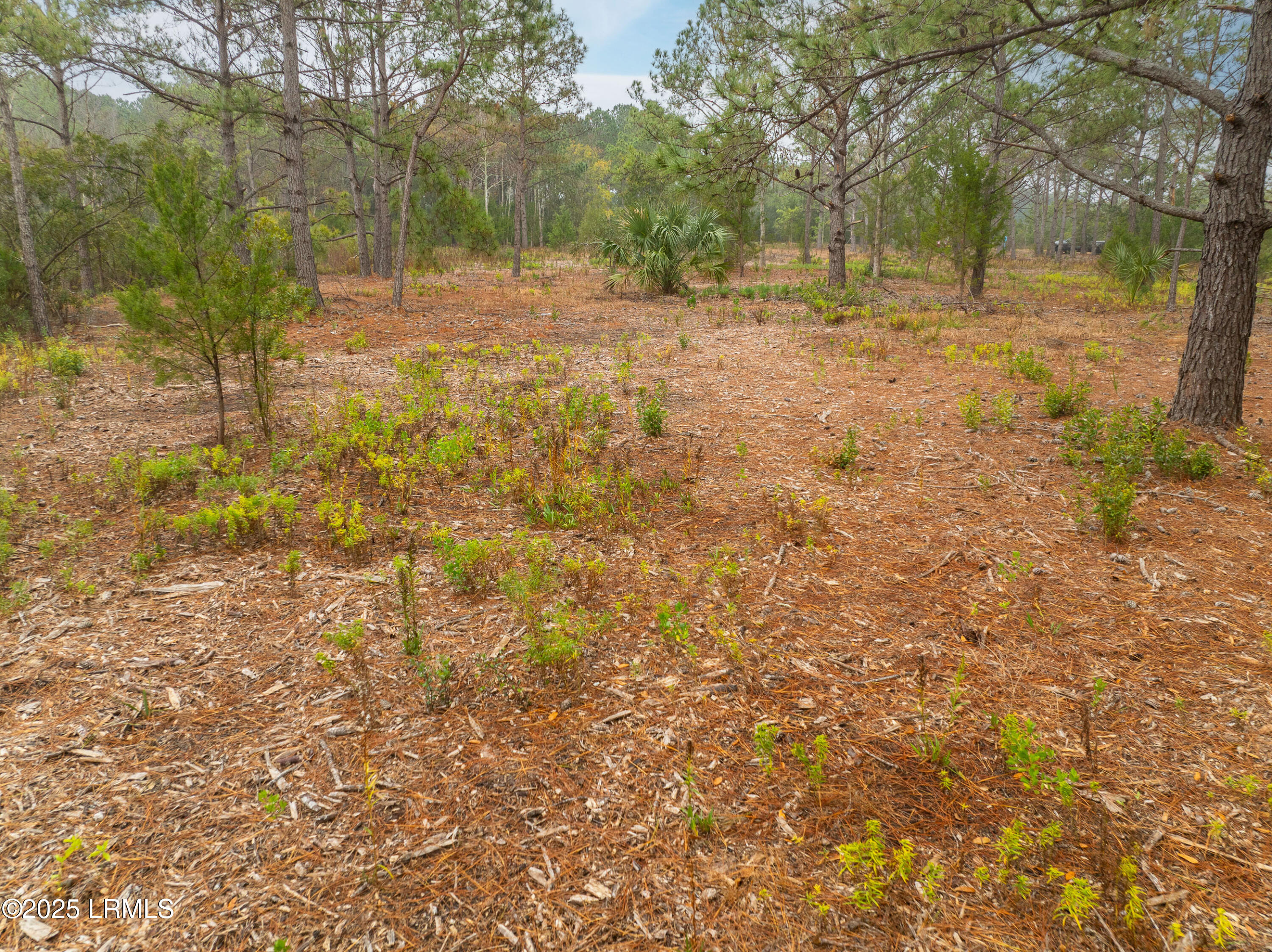 Tbd Tbd J Stephens Path Street St. Helena Island, SC 29920 - Photo 13 of 21 DJI_0873-1.jpg-FULL
