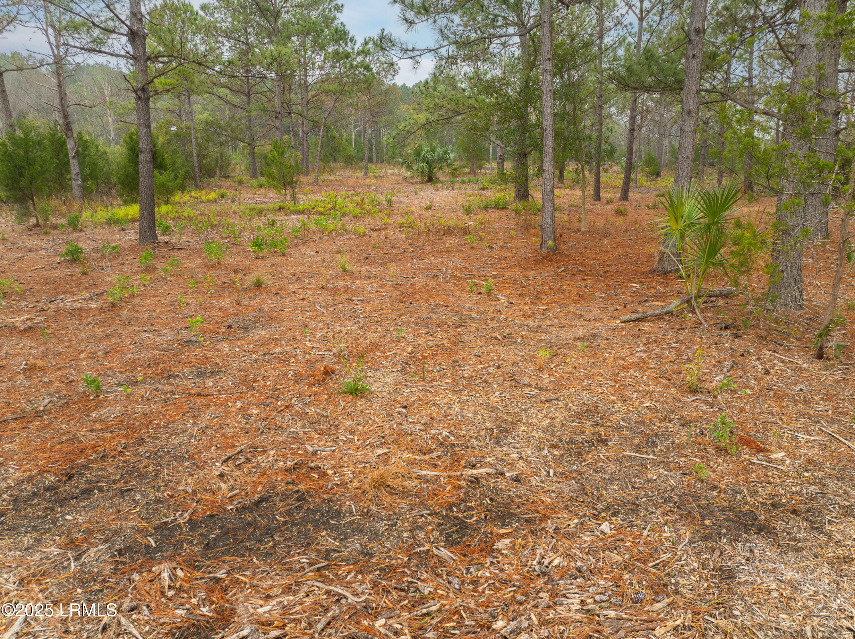 Tbd Tbd J Stephens Path Street St. Helena Island, SC 29920 - Photo 2 of 21 DJI_0872-1.jpg-FULL
