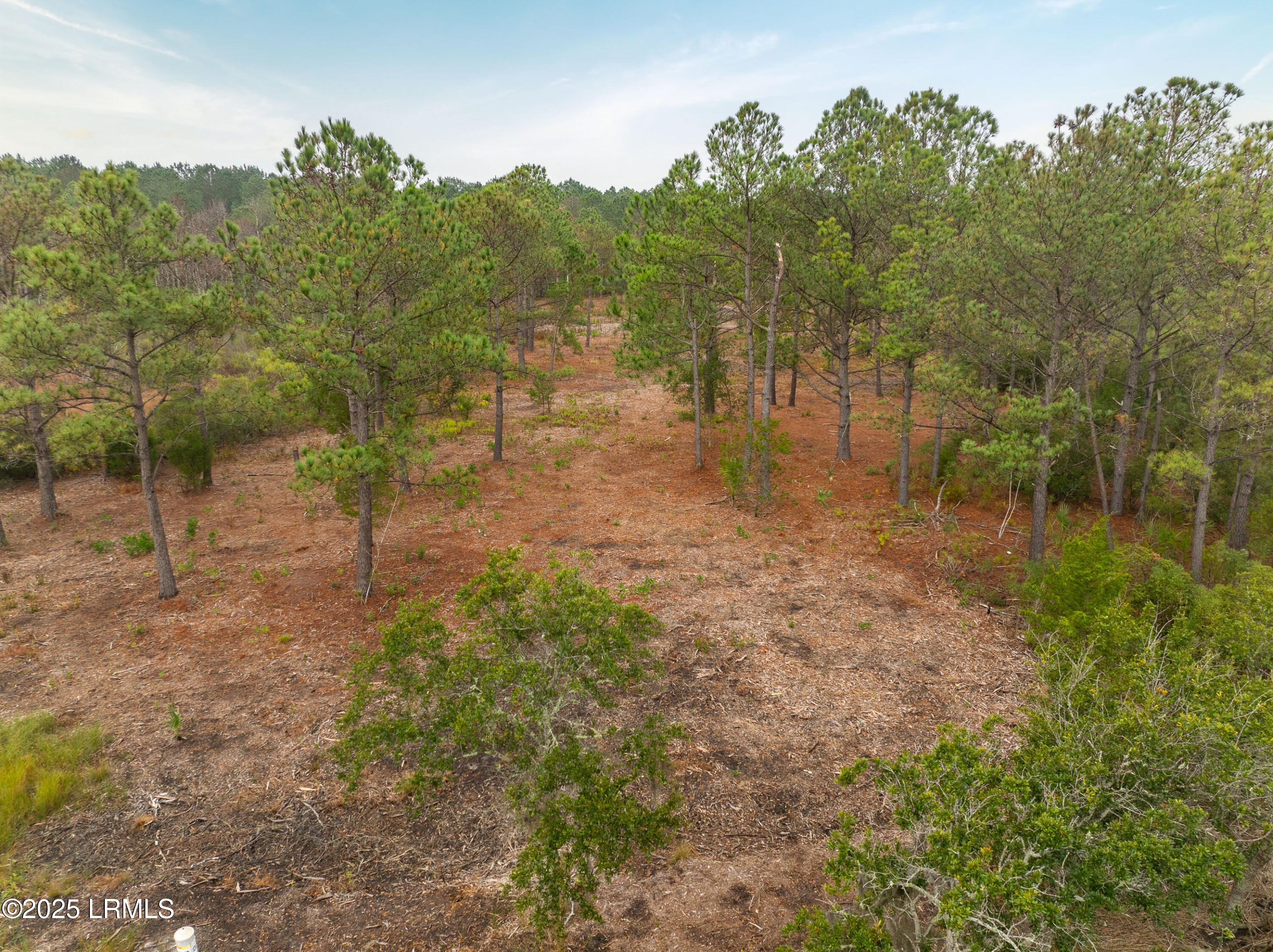 Tbd Tbd J Stephens Path Street St. Helena Island, SC 29920 - Photo 9 of 21 DJI_0868-1.jpg-FULL