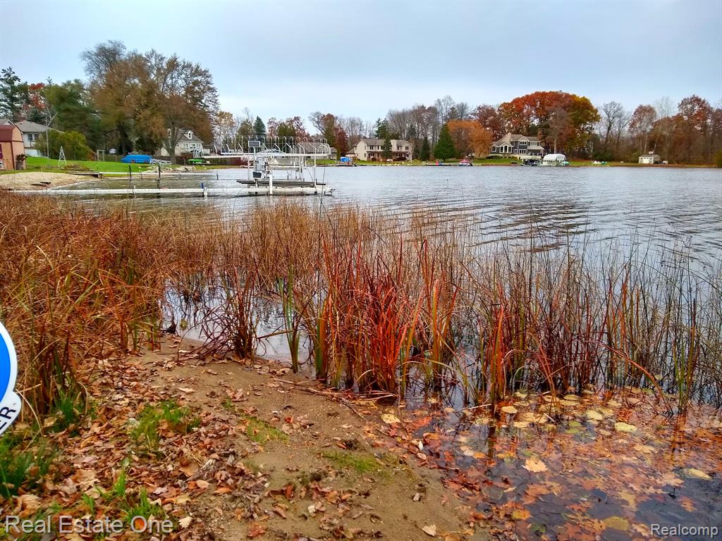 0 Sashabaw Road Ortonville, MI 48462 - Photo 4 of 7