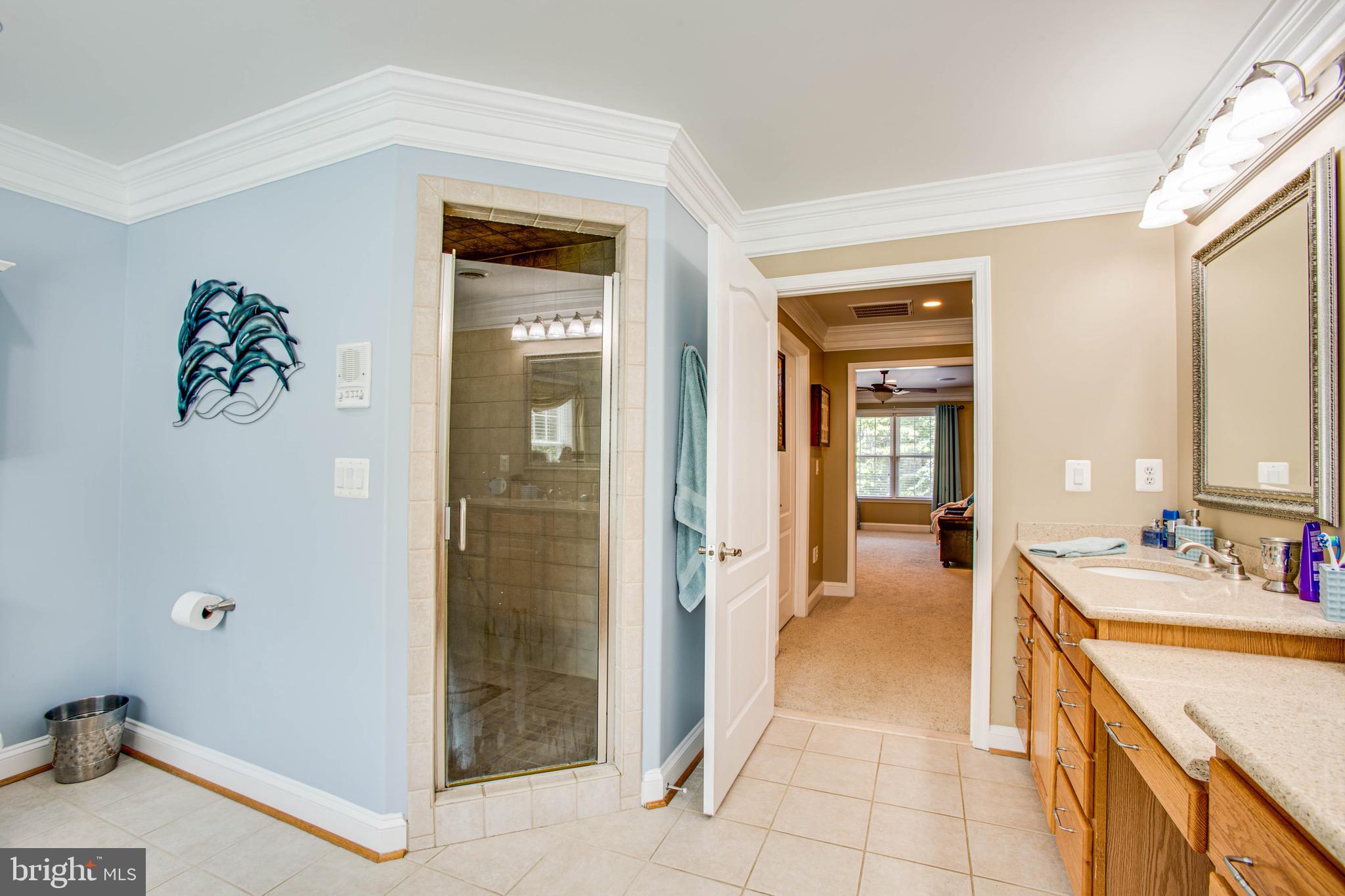 330 Joshua Road Stafford, VA 22556 - Photo 57 of 90 Master Bath