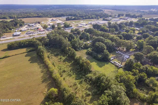 an aerial view of residential houses with outdoor space and trees