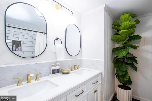 a bathroom with a sink a mirror and a potted plant