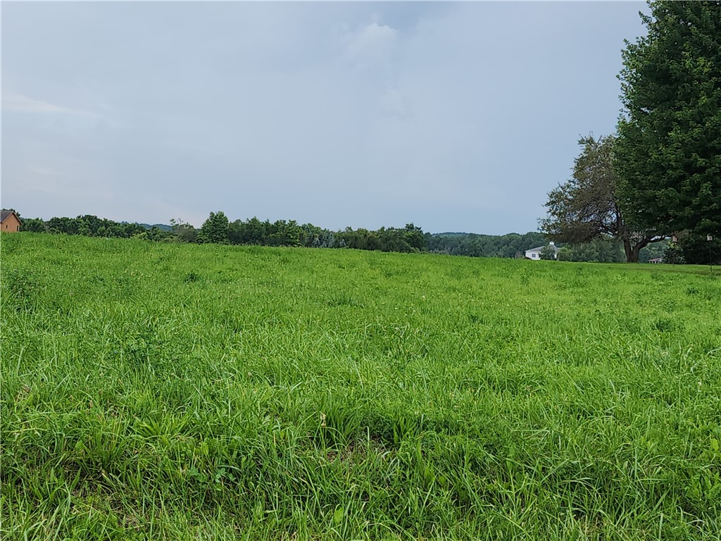 0 Cherry Street Bloomfield, NY 14469 - Photo 11 of 12