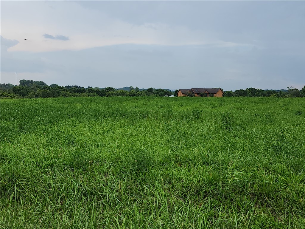 0 Cherry Street Bloomfield, NY 14469 - Photo 12 of 12